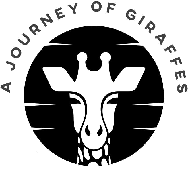 A Journey of Giraffes